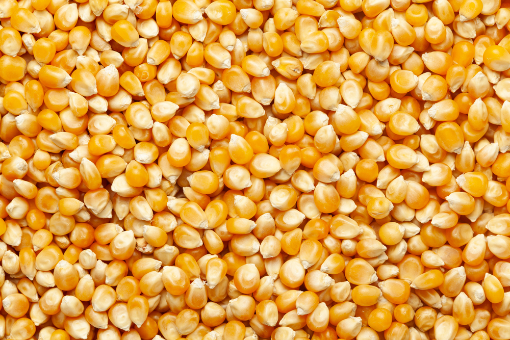 Popcorn Popcorn