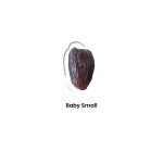Baby Small Medjool Dates